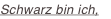 shapeimage_1_link_7